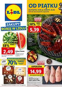 Скидки и акции в супермаркетах LIDL (ЛИДЛ) Польша